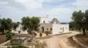 Cover image for: Is My Puglia Property Right for Airbnb? Operator's Guide