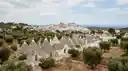 Cover image for: Best Areas to Invest in Vacation Rental Property in Puglia