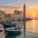 Trani
